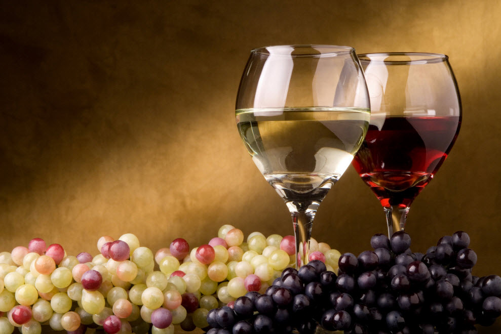 Седмото издание на най-големия форум за българско вино DiVino.Taste отваря
