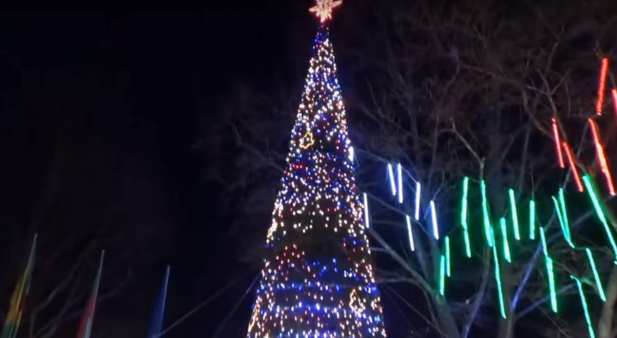 Светлините на елхата в София ще бъдат запалени утре 05 12