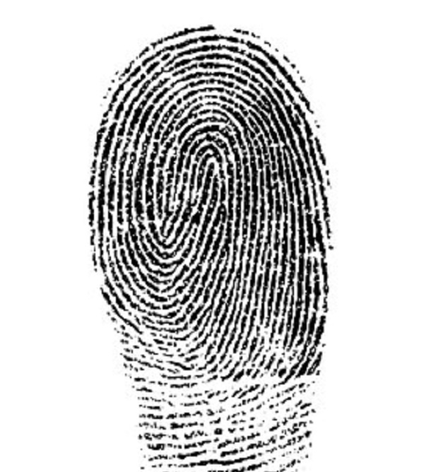 fingerprint-1382652__340.jpg